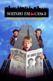Esqueceram de Mim 2: Perdido em Nova York