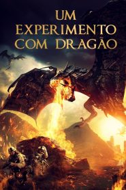 Um Experimento Com Dragão