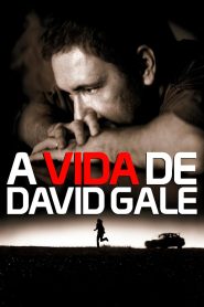 A Vida de David Gale