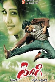 యోగి