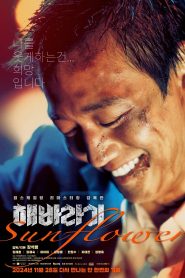 해바라기