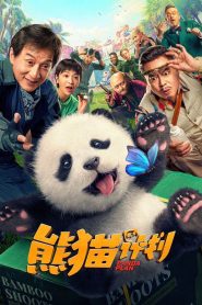 Operação Panda