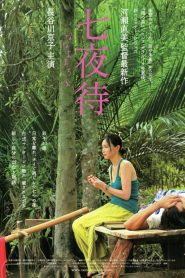 七夜待