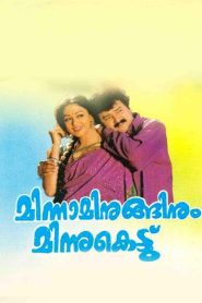 മിന്നമിനുങ്ങിനും മിന്നുകെട്ട്